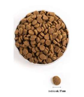 ACANA Adult Large Breed - dry dog food - 11,4kg