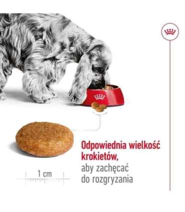 ROYAL CANIN SHN Medium Adult - dry dog food - 15kg