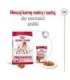 ROYAL CANIN SHN Medium Adult - dry dog food - 15kg