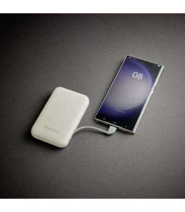 POWER BANK USB 10000MAH/BEIGE S10000 7333031 INTENSO