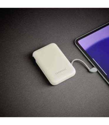 POWER BANK USB 10000MAH/BEIGE S10000 7333031 INTENSO