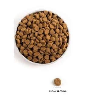 Acana Puppy Large Breed  17 kg