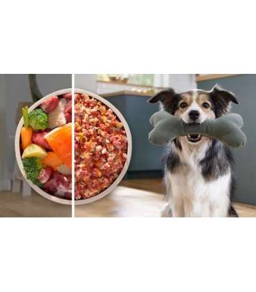 Bosch Serie 6 MFWS650B mincer 500 W Black, Silver