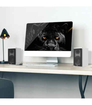 Laudberg XS1W bookshelf speakers 2.0 80W white