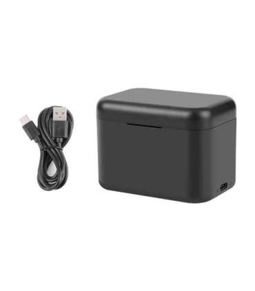 Charging case for batteries and memory cards PULUZ for Insta360 X4 (black)