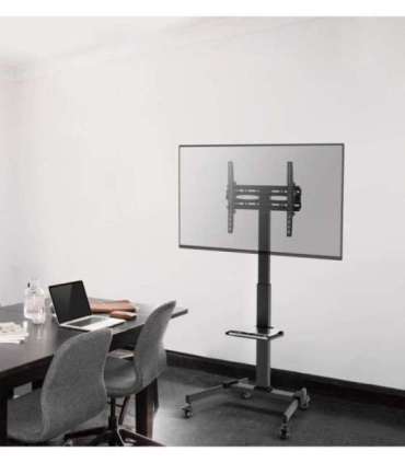 Gembird TVS-55T-01 TV floor stand with caster wheels (tilt), 32" - 55", black