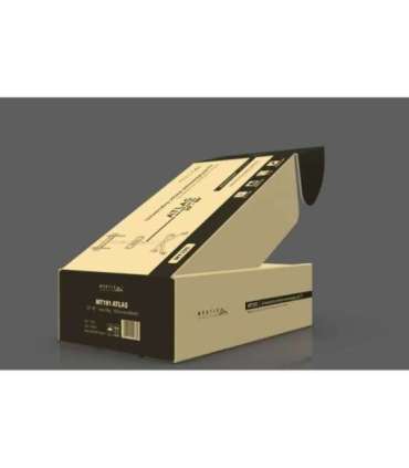 Montis Mobilny uchwyt do TV - MT191 ATLAS 152.4 cm (60")