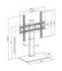 Maclean universal TV stand, for RTV cabinet, stand, max. 40kg, max. VESA 400x400, height and angle adjustment, for