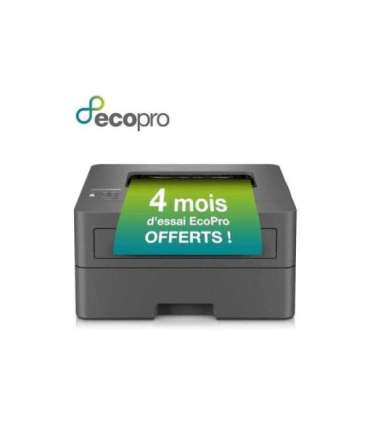 Brother HL-L2400DWE HLL2400DWE Drucker (HLL2400DWERE1)