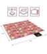 NC2223 PICNIC MAT FRUIT 200x200 PE ALU NILS CAMP