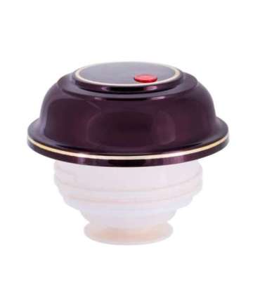 ROTPUNKT 330-16-04-0 vacuum flask 1 L Cherry (fruit)