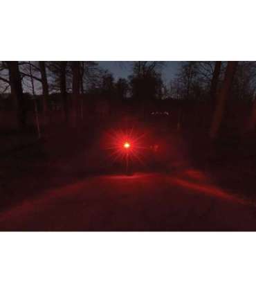 Rear light AXA Juno E-bike 6-12V 80 mm