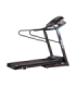 Treadmill BH FITNESS Pioneer Senior