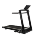 Беговая дорожка HAMMER Q. VADIS 10.0
