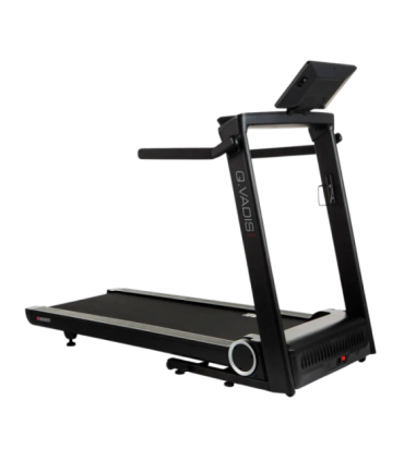 Jooksulint HAMMER Q. VADIS 10.0