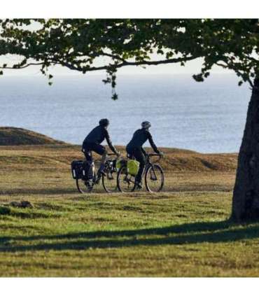 Thule 5405 Shield pannier 25L pair yellow