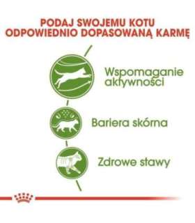 Royal Canin Active Life Outdoor cats dry food 4 kg Adult Poultry