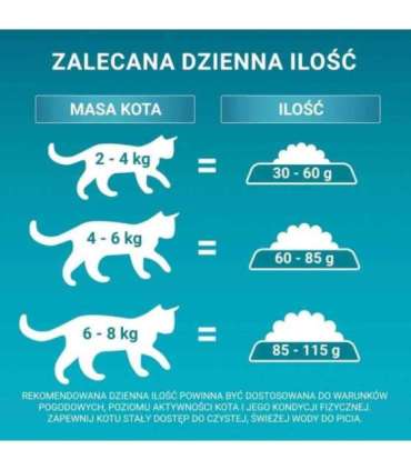 PURINA One Bifensis Adult - dry cat food - 800 g