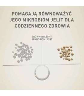 PURINA One Mini/Small Active Beef  - wet dog food - 85g