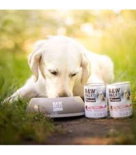 RAW PALEO Adult Monoprotein Pork - wet dog food - 800 g