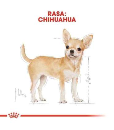 ROYAL CANIN BHN Chihuahua Adult dry dog food - 1.5 kg