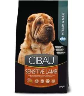 Farmina Pet Food SENSITIVE LAMB MEDIUM & MAXI 14 kg Adult