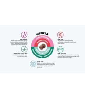 JOHN DOG Good Form Puppy Veal with lamb - dry dog food - 12 kg