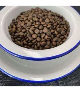 FOLK Small breeds Kashubian-style fish specialty with apples, parsley and lovage - dry dog food - 7kg