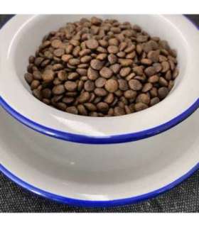 FOLK Small breeds Traditional Greater Poland duck with rabbit, apples and marjoram - dry dog food - 7kg