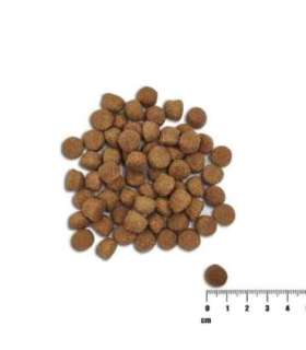 Raw Paleo Healthy Grain Puppy Salmon and barley - dry dog ​​food - 10 kg