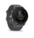 Garmin Forerunner 255 3.3 cm (1.3") MIP 46 mm Digital 260 x 260 pixels Grey Wi-Fi GPS (satellite)