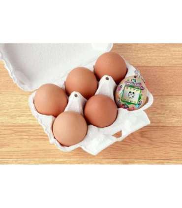 TAMAGOTCHI - ECO CELEBRATION EGG