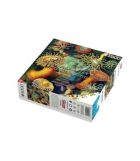 Imagination Puzzle: Ernst Haeckel Sea Creatures 1000 elements