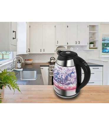 Esperanza EKK026 electric kettle 1.7 L 2200 W Black, Transparent