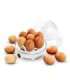 Esperanza EKE001 egg cooker 7 egg(s) 350 W White