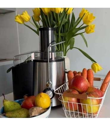 MPM MSO-18-M Juicer 1000 W Black, Silver