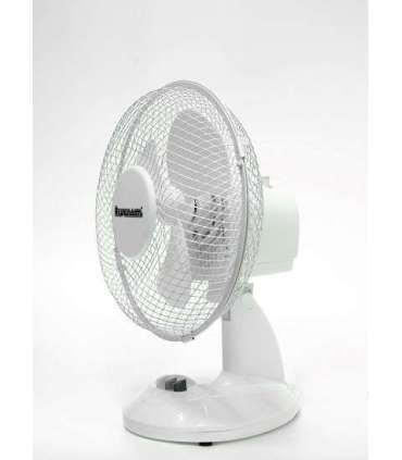 Desktop Fan Ravanson WT-1023 (white)