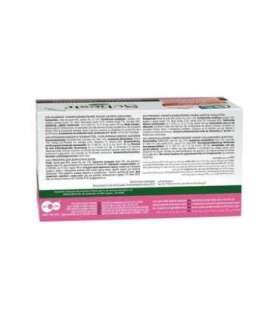 SCHESIR Chicken fillets with ham in jelly - wet cat food - 6x50g
