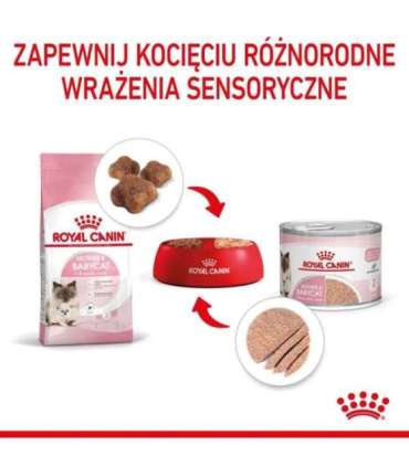 Royal Canin BABYCAT INSTINCTIVE - Wet cat food - 195 g