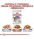 ROYAL CANIN FHN Sterilised in sauce - wet food for adult cats - 12x85g