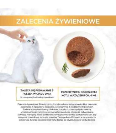 GOURMET Gold Beef - wet cat food - 85g