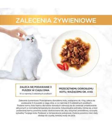 GOURMET GOLD - Casserole beef and chicken 85g