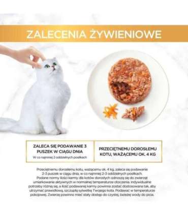 GOURMET GOLD - Savoury Cake with Chicken and Carrot 85g