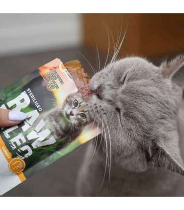 RAW PALEO Adult Cat Sterilised Turkey - wet cat food - 100 g