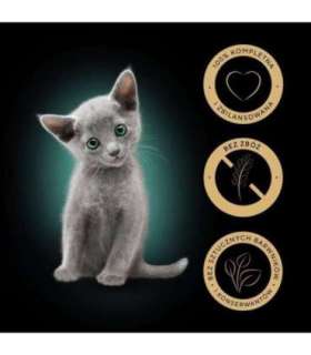 SHEBA Kitten Selection of Flavors in Sauce - wet cat food - 40x85 g