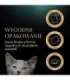 SHEBA Kitten Selection of Flavors in Sauce - wet cat food - 40x85 g
