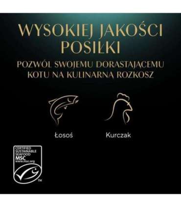 SHEBA Kitten Selection of Flavors in Sauce - wet cat food - 40x85 g