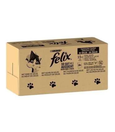 Purina Felix MIX 120x85g