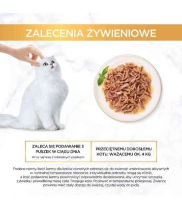 PURINA Gourmet Gold Succulent Delights Chicken - wet cat food - 85g