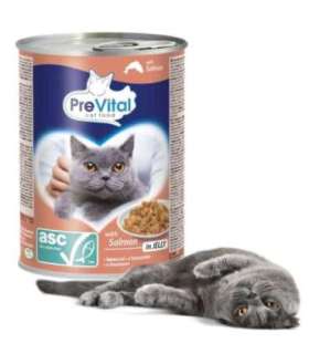 PREVITAL Cat Food with ASC salmon in jelly - wet food for cats - 415g